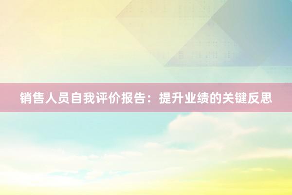 销售人员自我评价报告：提升业绩的关键反思